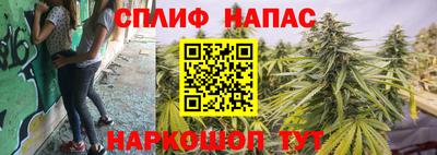мдпв Ярославль