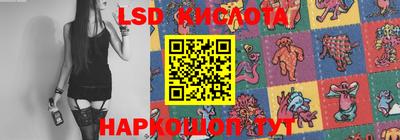мдпв Ярославль