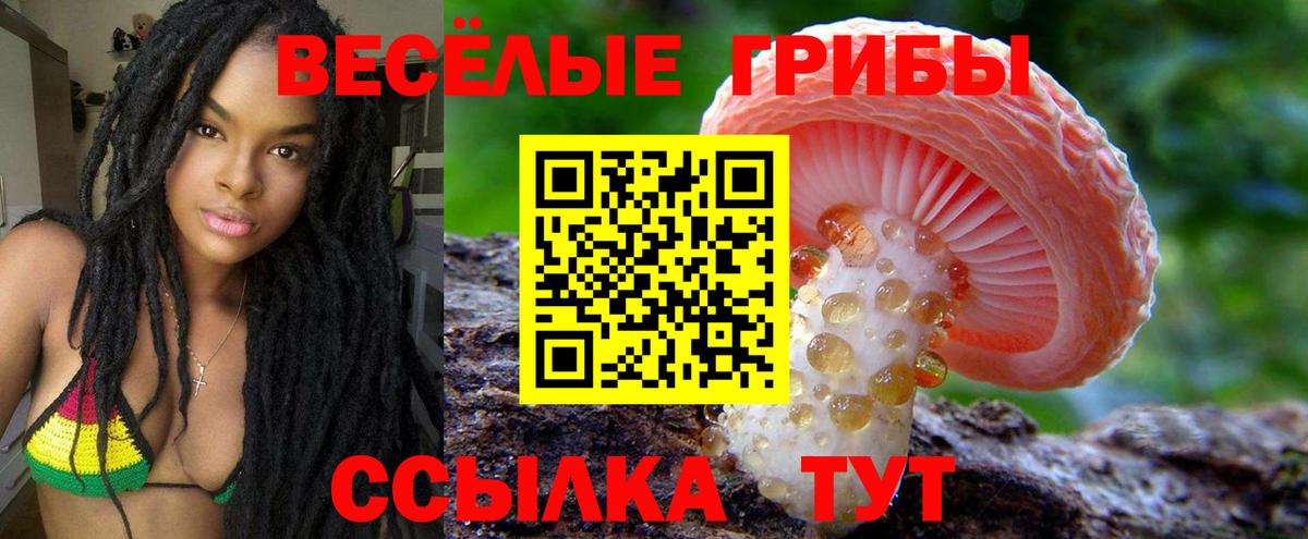 Белгород  Галлюциногенные грибы прущие грибы  Вход с VPN  Галлюциногенные грибы MAGIC MUSHROOMS 