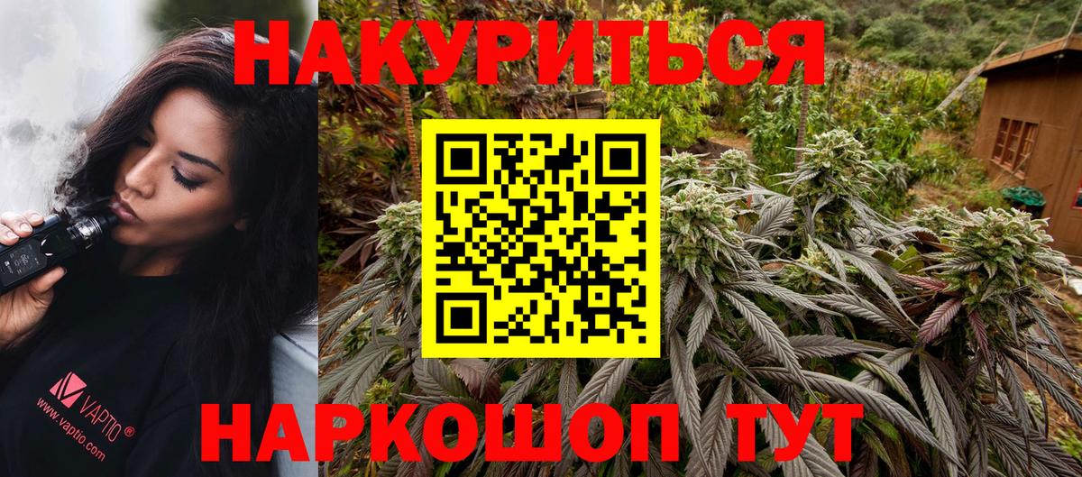 Канабис Ganja  МАРИХУАНА план  Каннабис ГИДРОПОН  Вход с VPN  Марихуана план  Белгород 